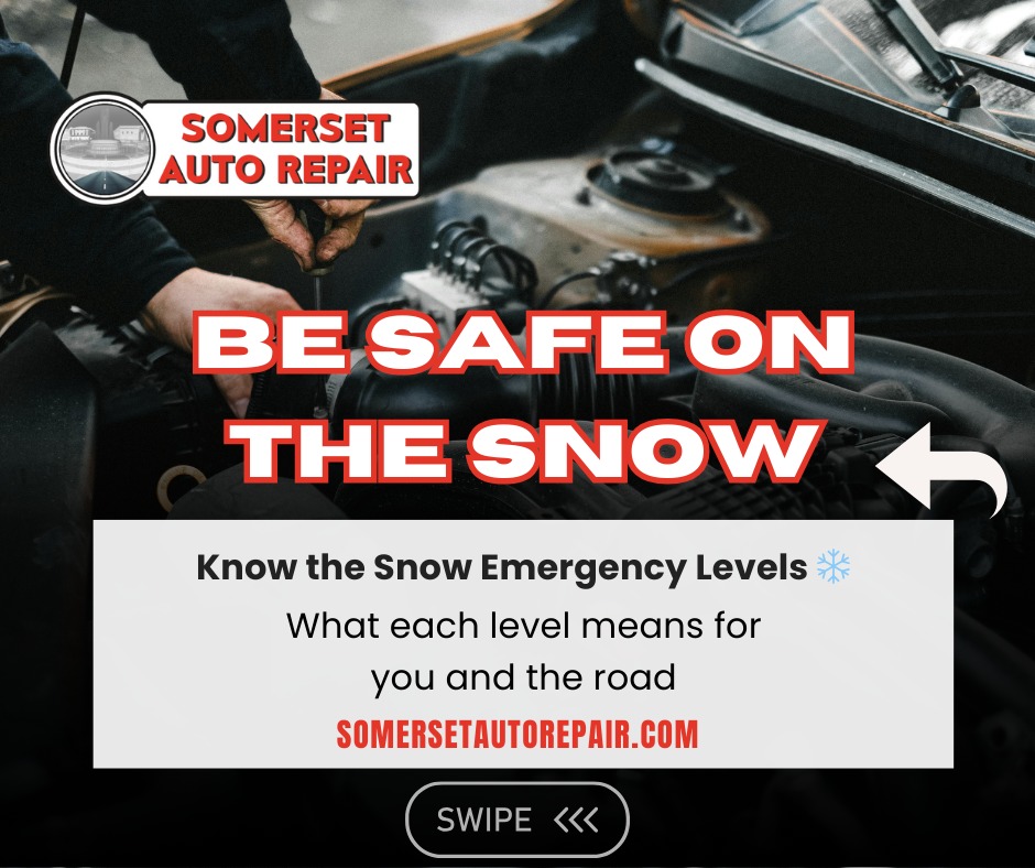 WhatsApp Image 2026-01-22 at 11.35.57 AM